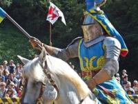 综合格斗赛场焦点！澳大利亚队对阵美国队，年轻新星表现惊艳，未来可期